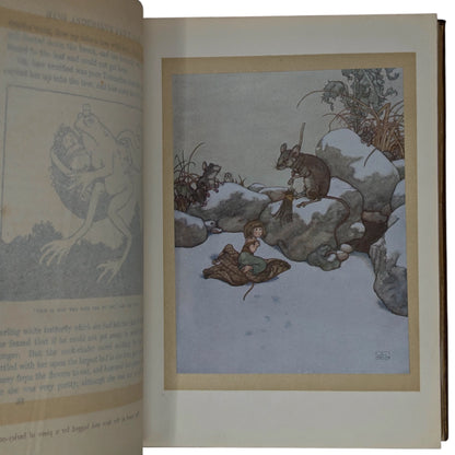 Fairy Tales