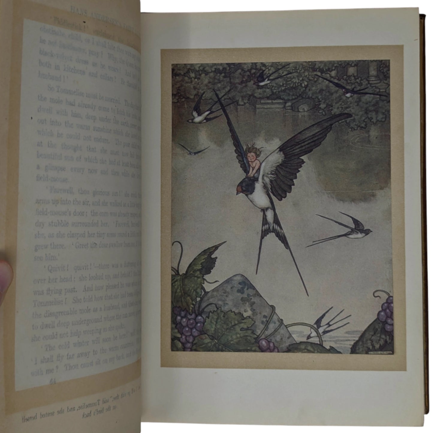 Fairy Tales