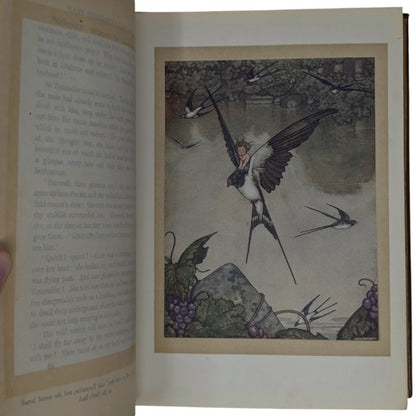 Fairy Tales