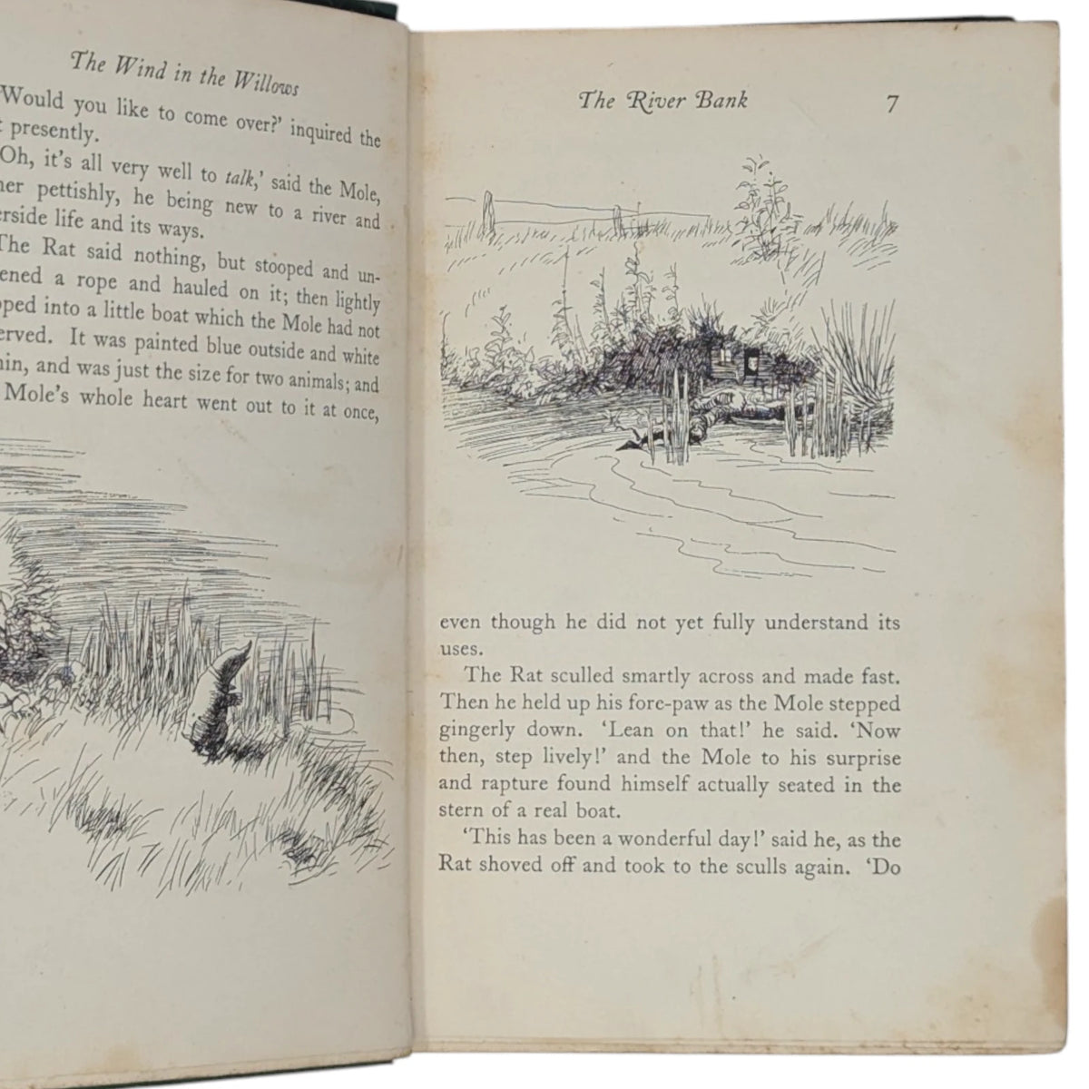 The Wind in the Willows