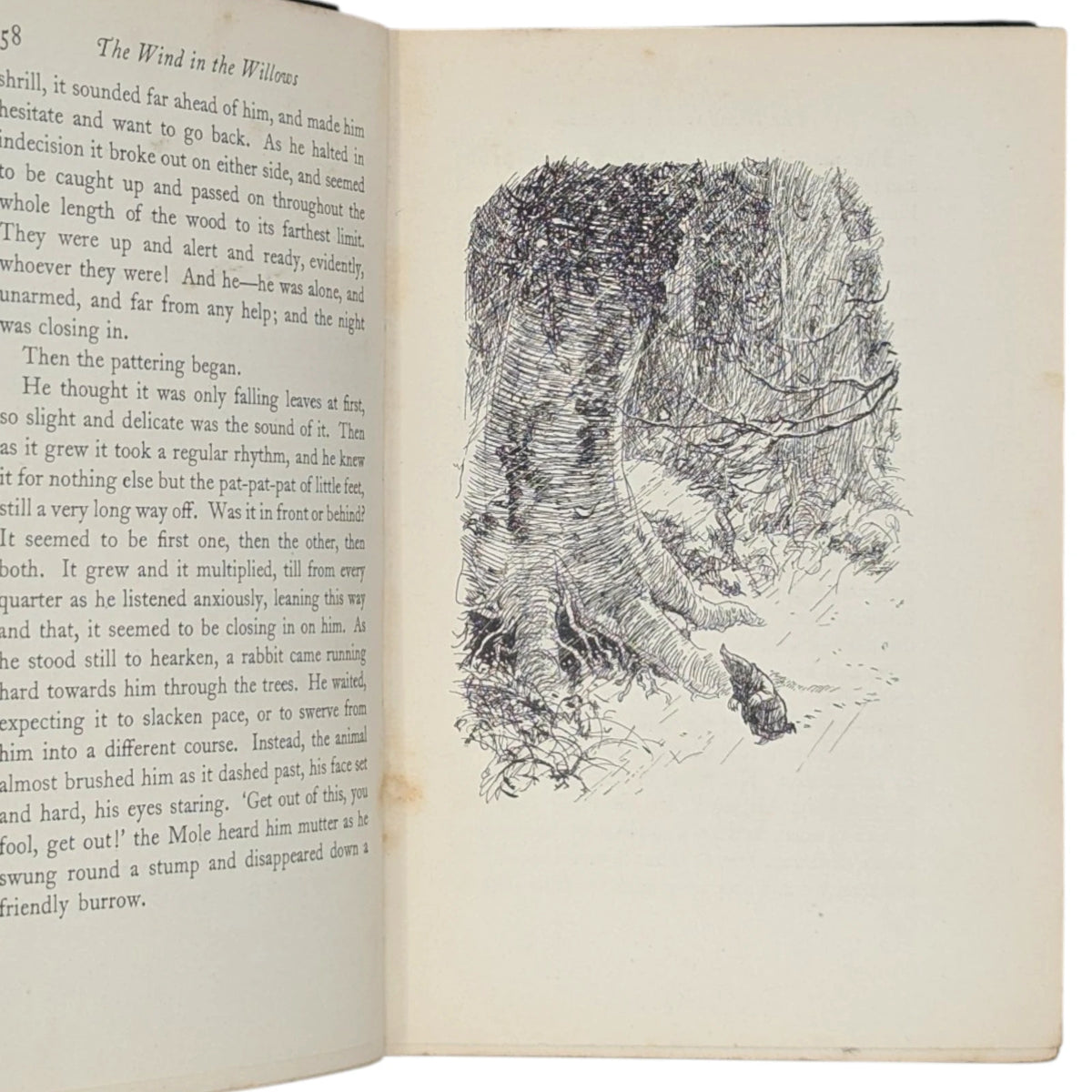 The Wind in the Willows