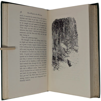 The Wind in the Willows