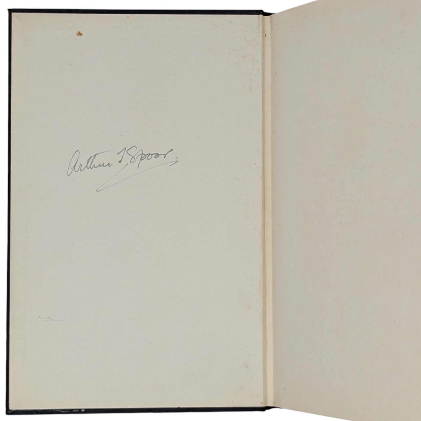 Rehabilitations and Other Essays