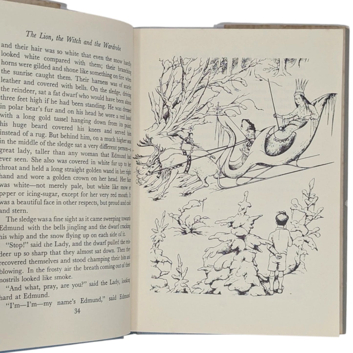 The Lion, the Witch and the Wardrobe