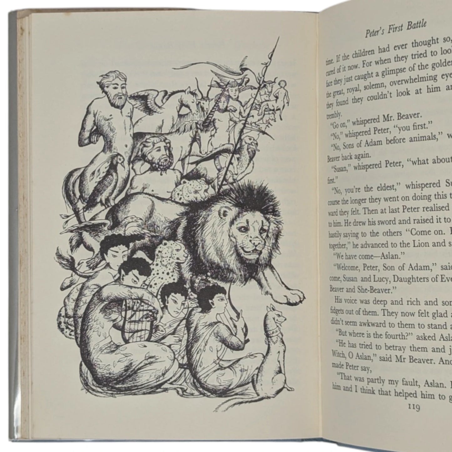 The Lion, the Witch and the Wardrobe