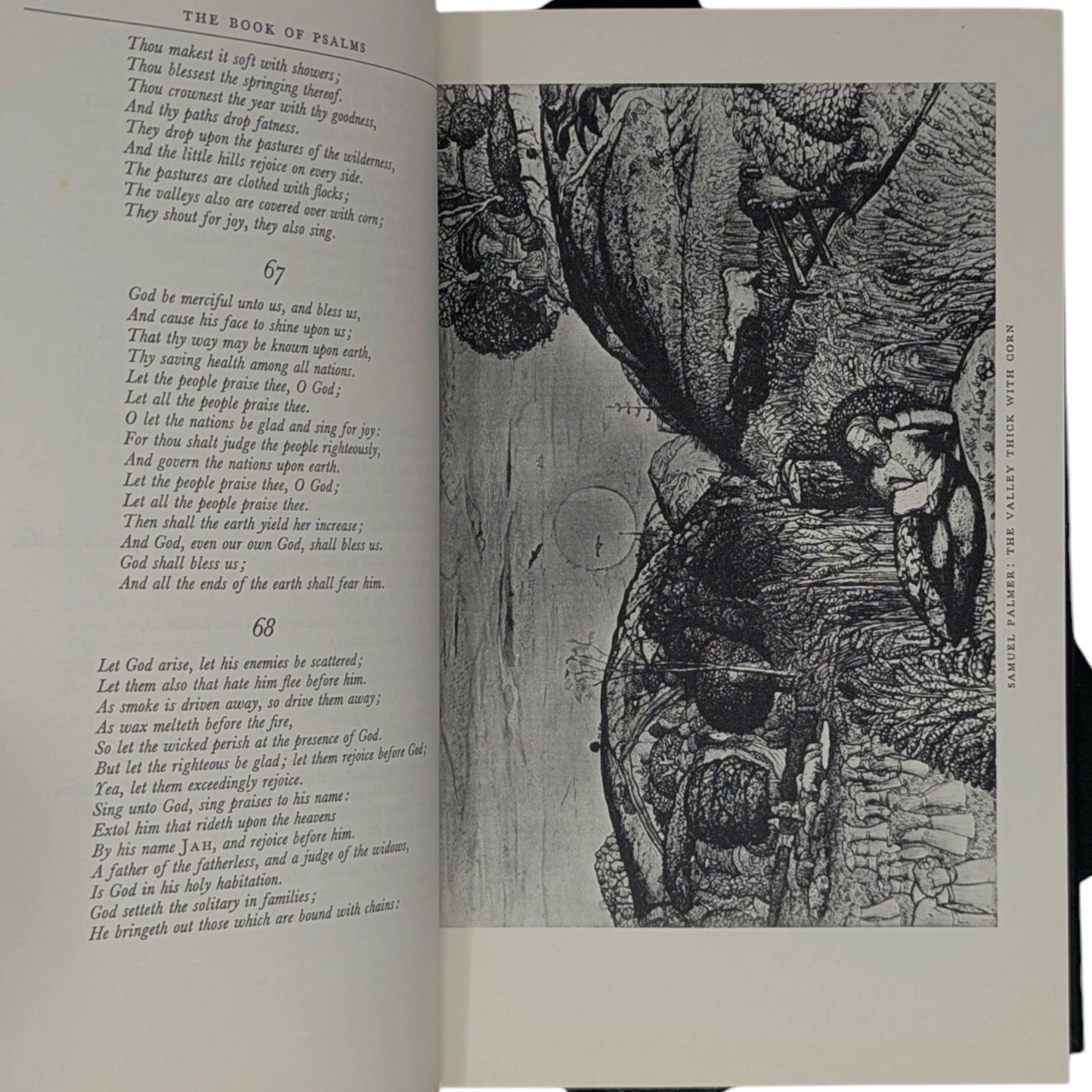 The Bible Designed to Be Read as Literature