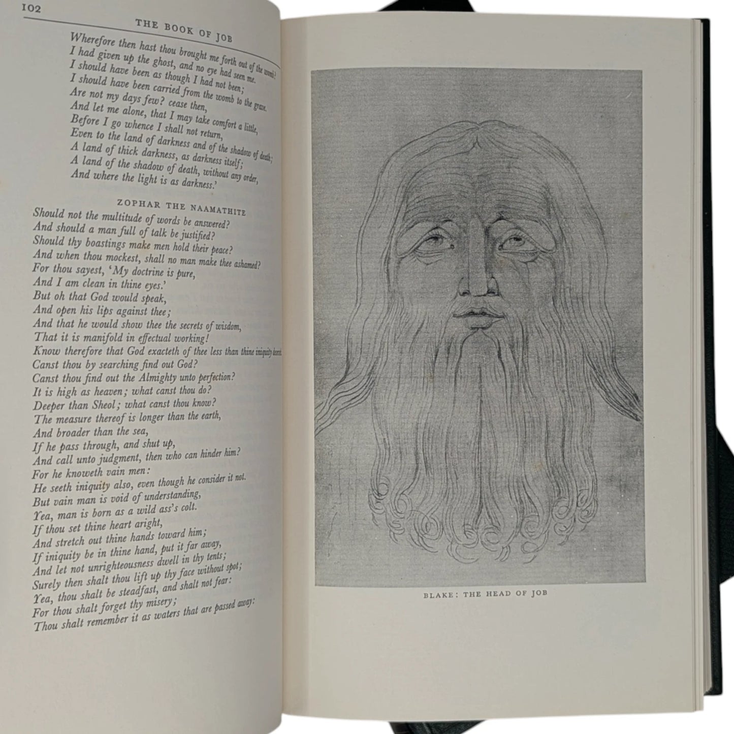 The Bible Designed to Be Read as Literature