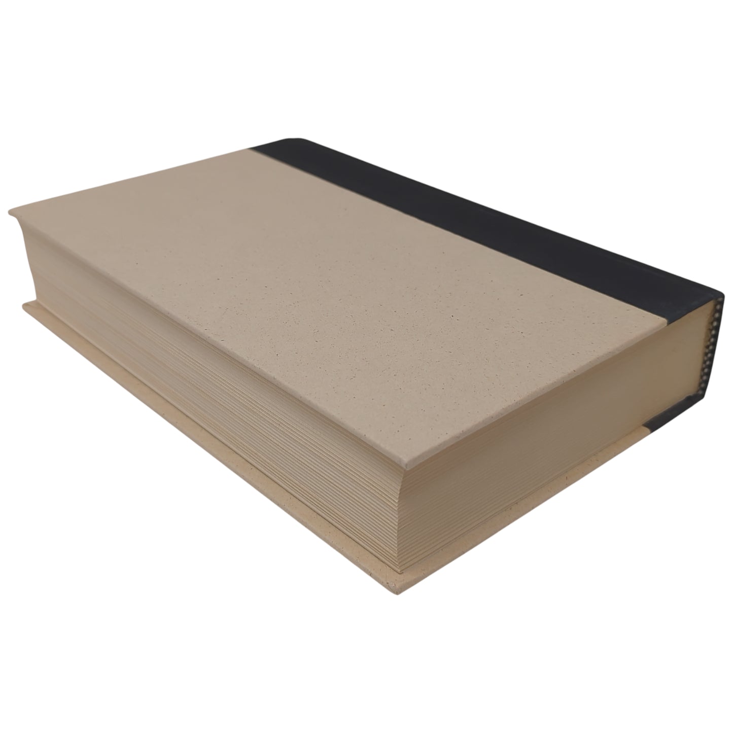 C S Lewis: A Companion and Guide