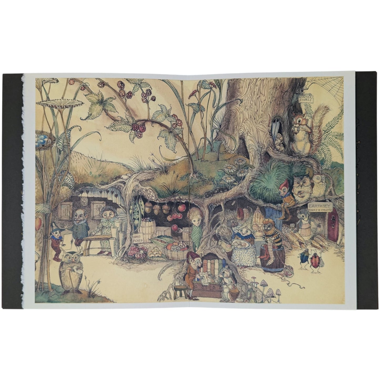 The Fairy Market