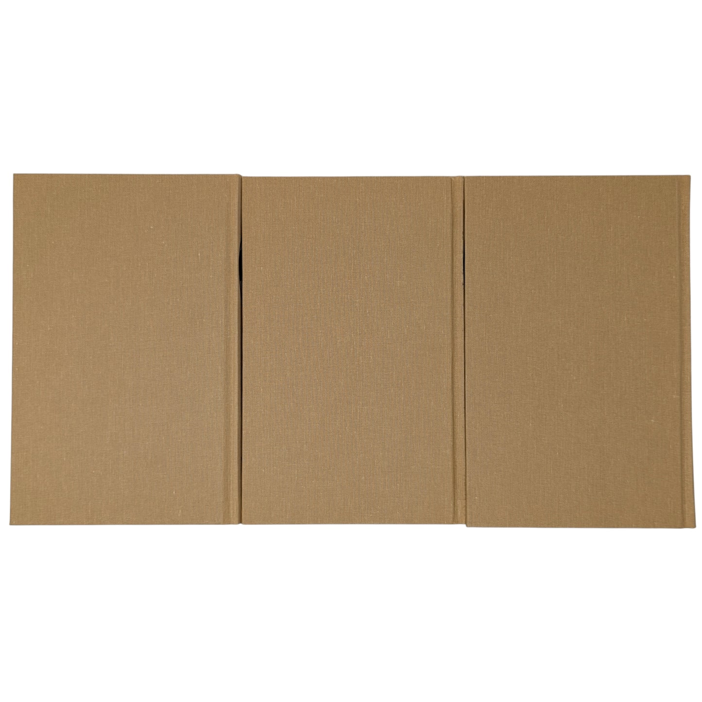 African Adventures: Allan Quatermain, King Solomon's Mines; She