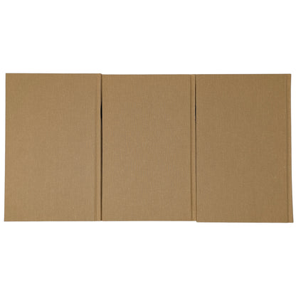 African Adventures: Allan Quatermain, King Solomon's Mines; She