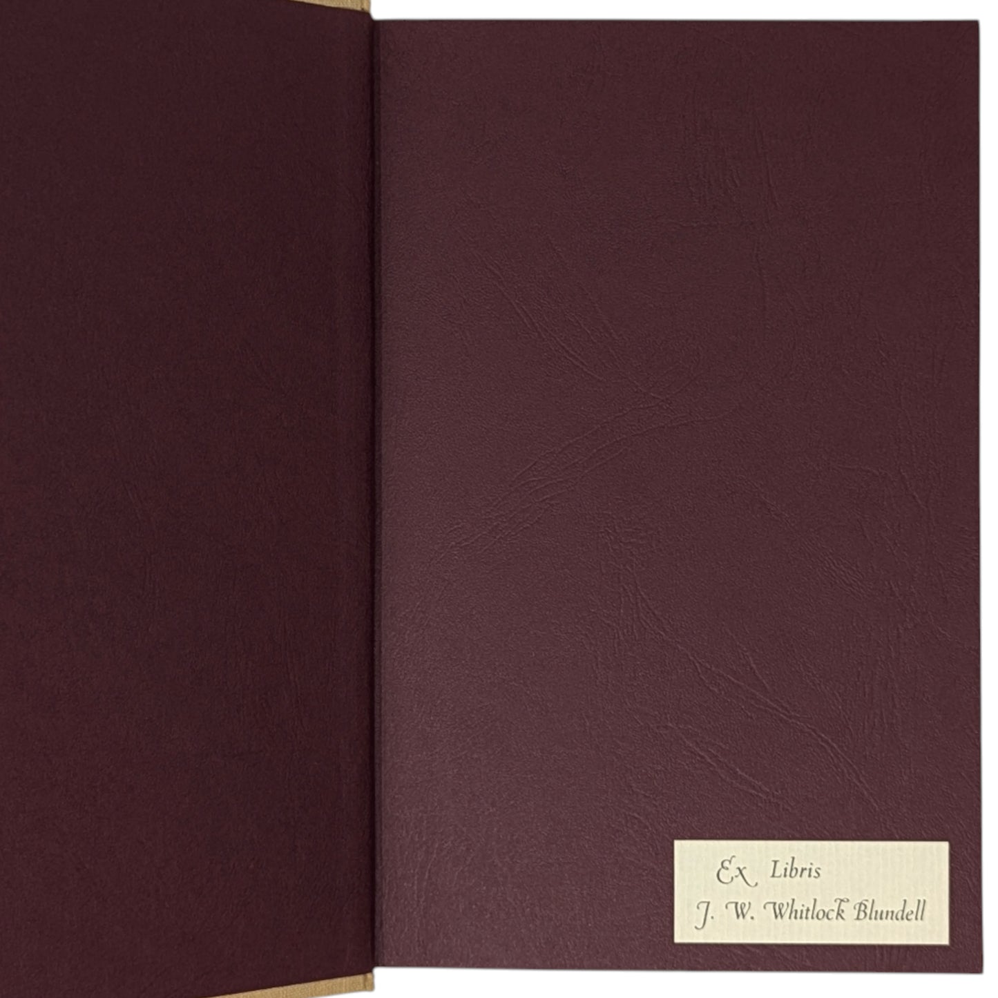 African Adventures: Allan Quatermain, King Solomon's Mines; She