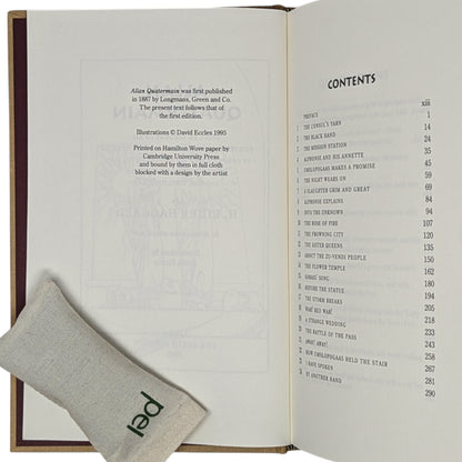 African Adventures: Allan Quatermain, King Solomon's Mines; She