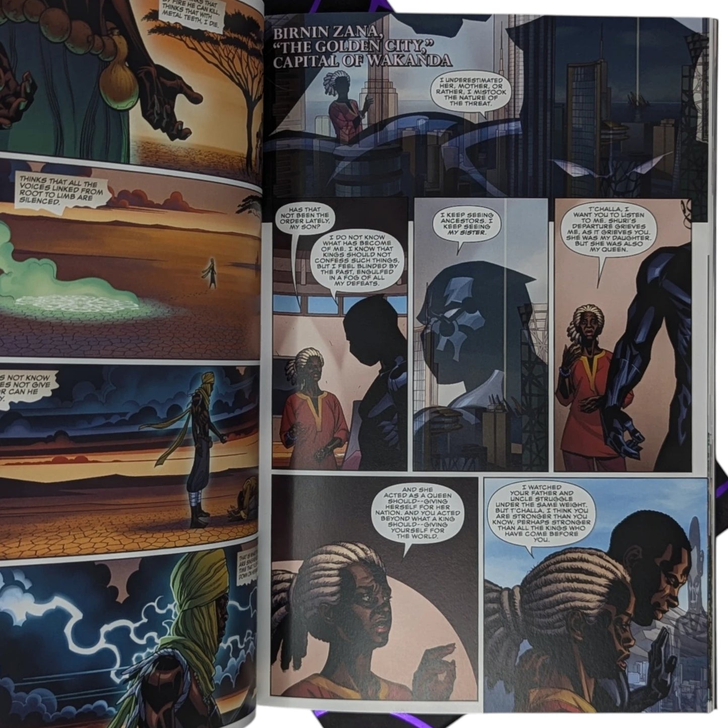 Black Panther, A Nation Under Our Feet