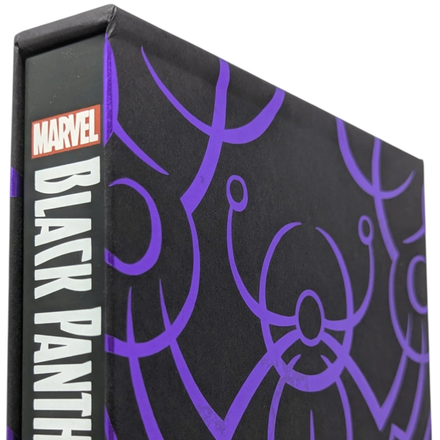 Black Panther, A Nation Under Our Feet