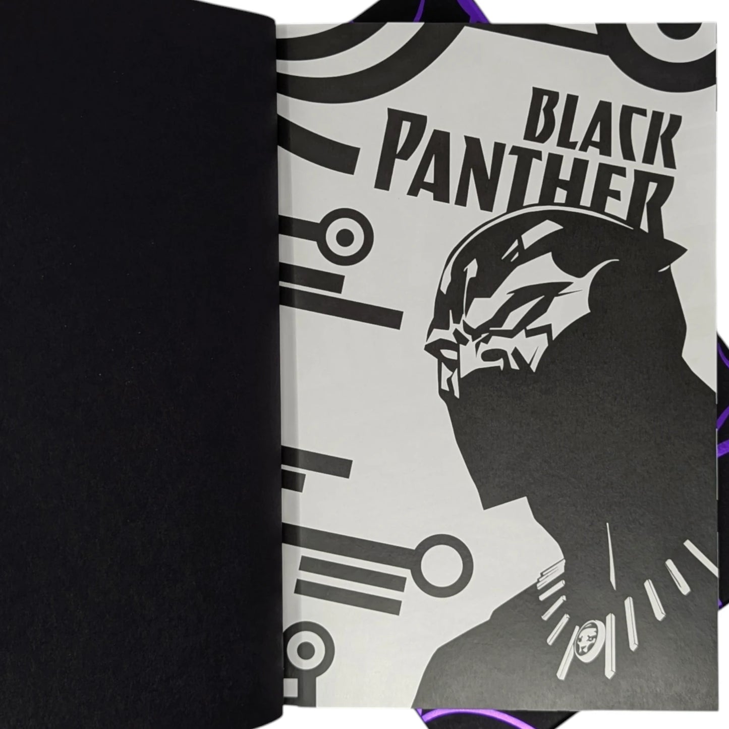 Black Panther, A Nation Under Our Feet