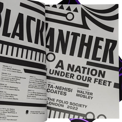 Black Panther, A Nation Under Our Feet