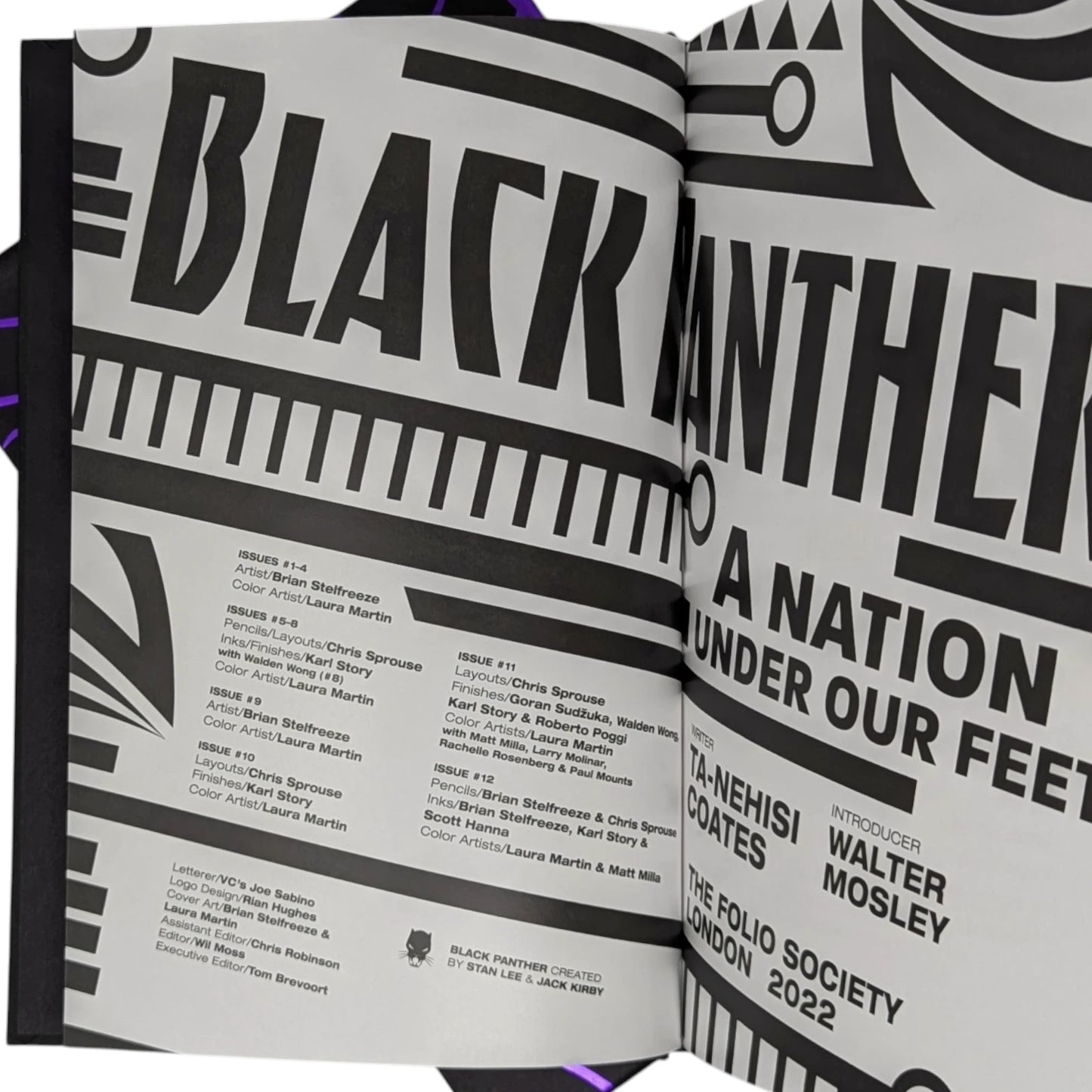 Black Panther, A Nation Under Our Feet