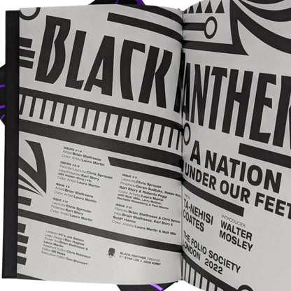 Black Panther, A Nation Under Our Feet