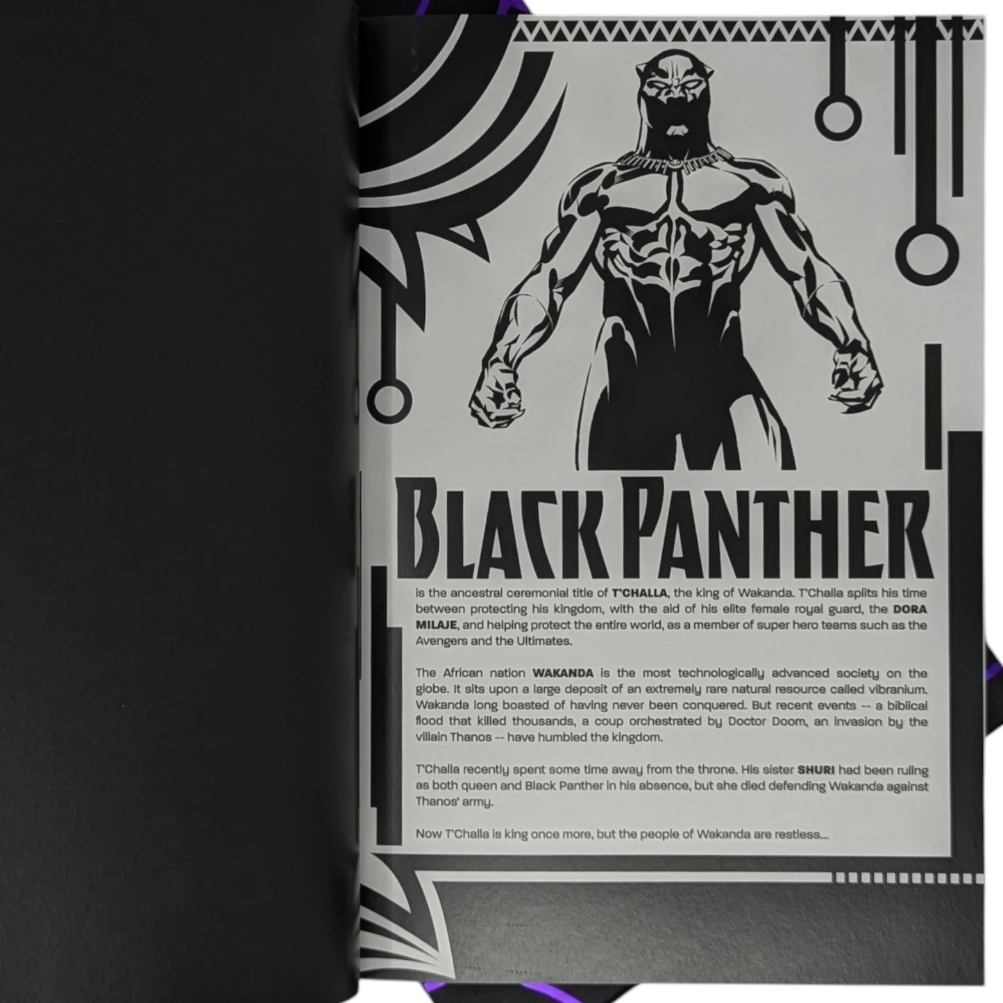 Black Panther, A Nation Under Our Feet