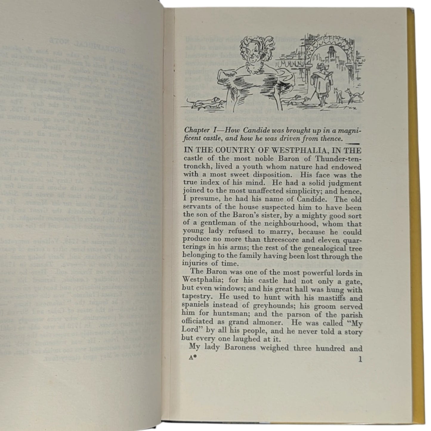 Candide or The Optimist