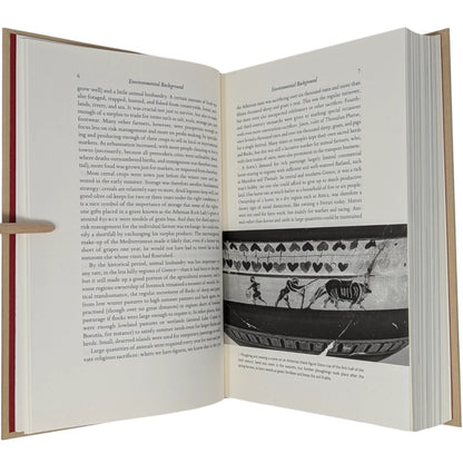 Creators, Conquerors & Citizens: A History of Ancient Greece