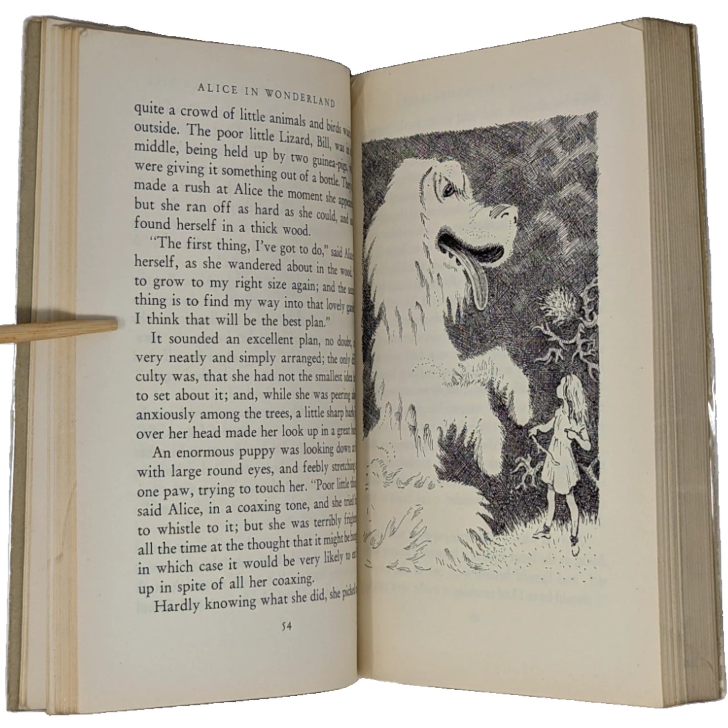 Alice's Adventures in Wonderland and Through the Looking Glass [File Copy]