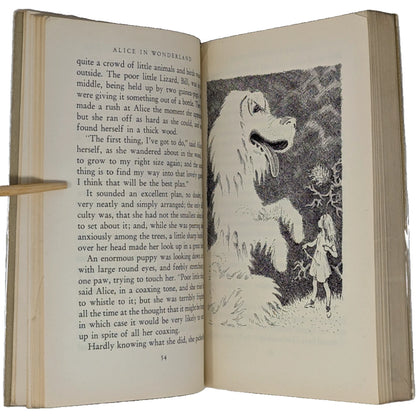 Alice's Adventures in Wonderland and Through the Looking Glass [File Copy]
