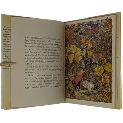 The Four Brambly Hedge Seasons