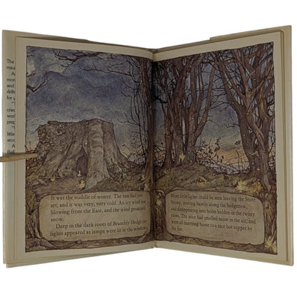 The Four Brambly Hedge Seasons