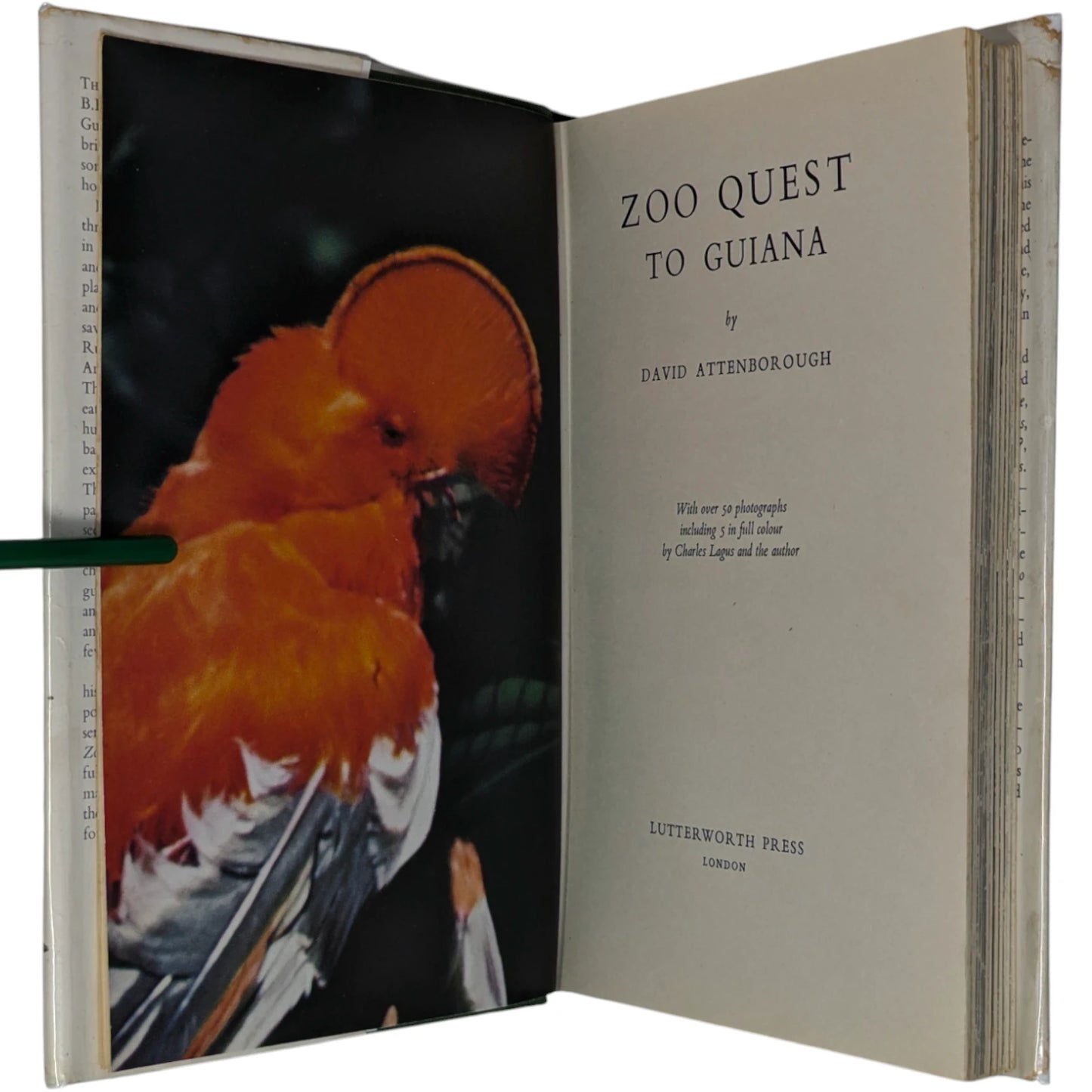 Complete Zoo Quest Series [6 volumes]