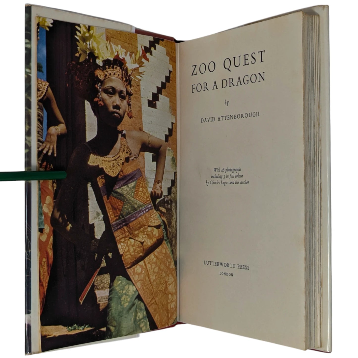 Complete Zoo Quest Series [6 volumes]