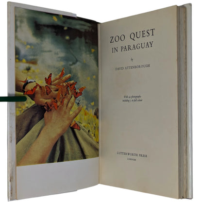 Complete Zoo Quest Series [6 volumes]