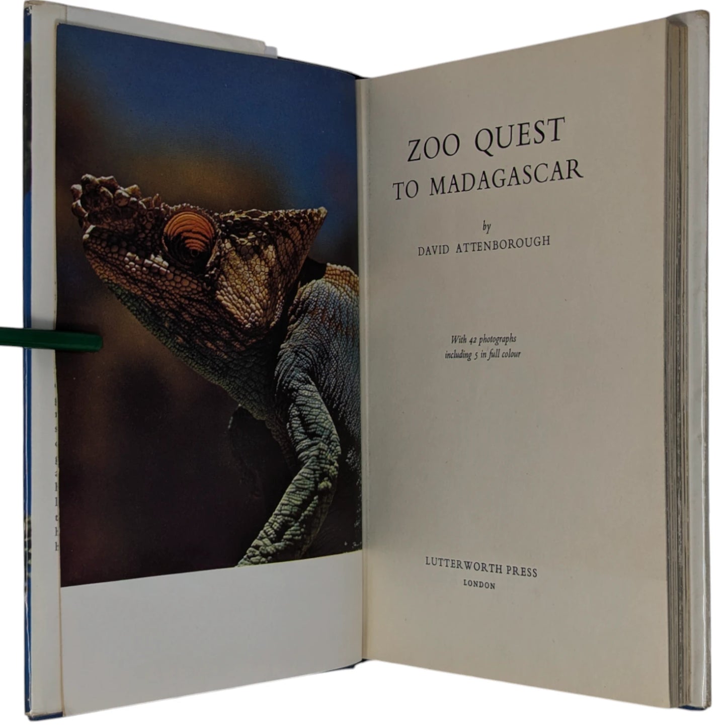 Complete Zoo Quest Series [6 volumes]