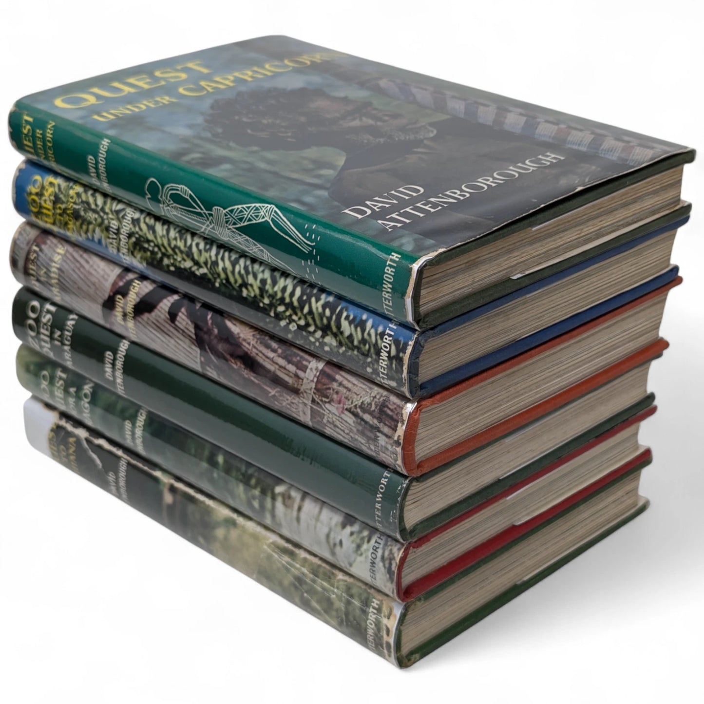 Complete Zoo Quest Series [6 volumes]