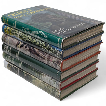 Complete Zoo Quest Series [6 volumes]