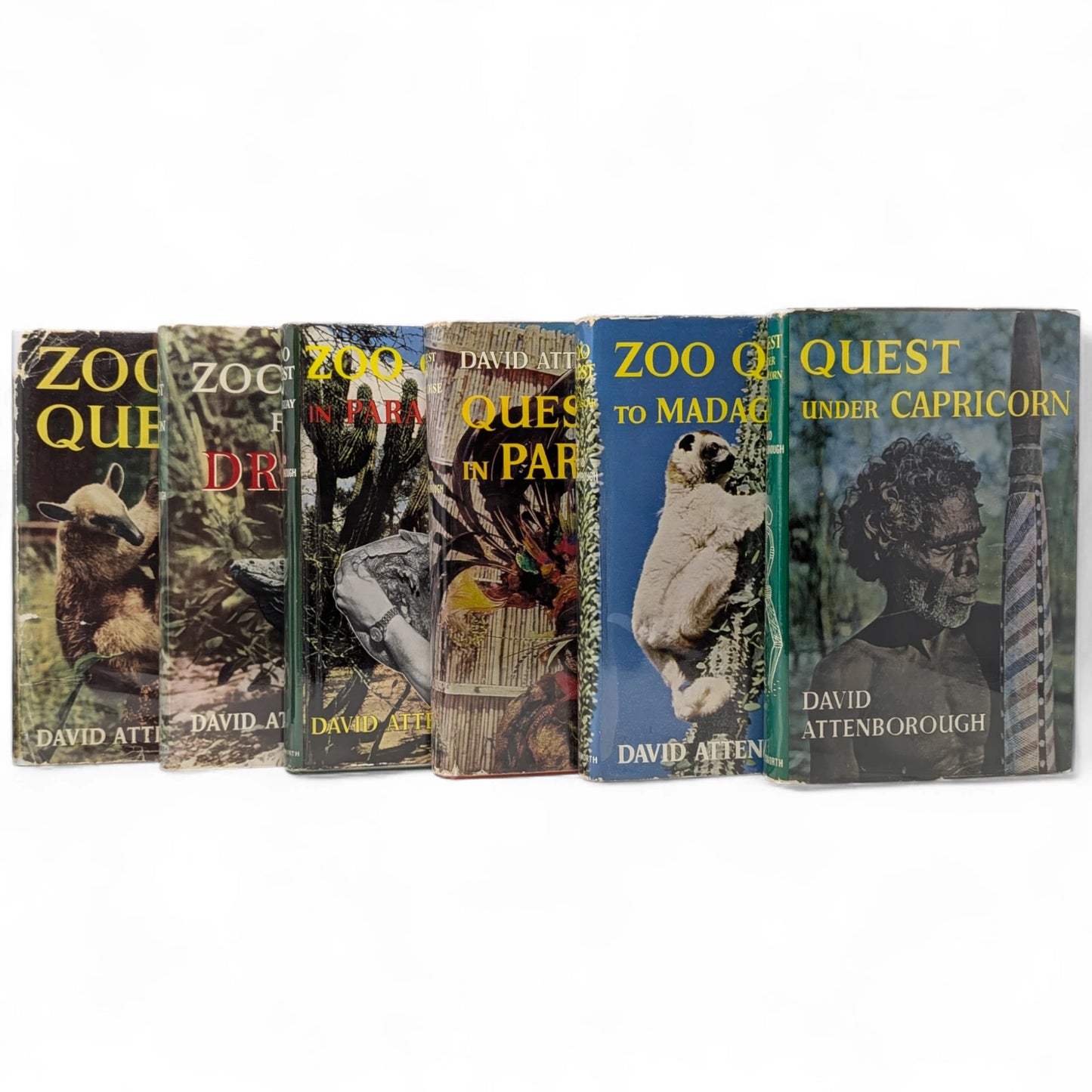 Complete Zoo Quest Series [6 volumes]