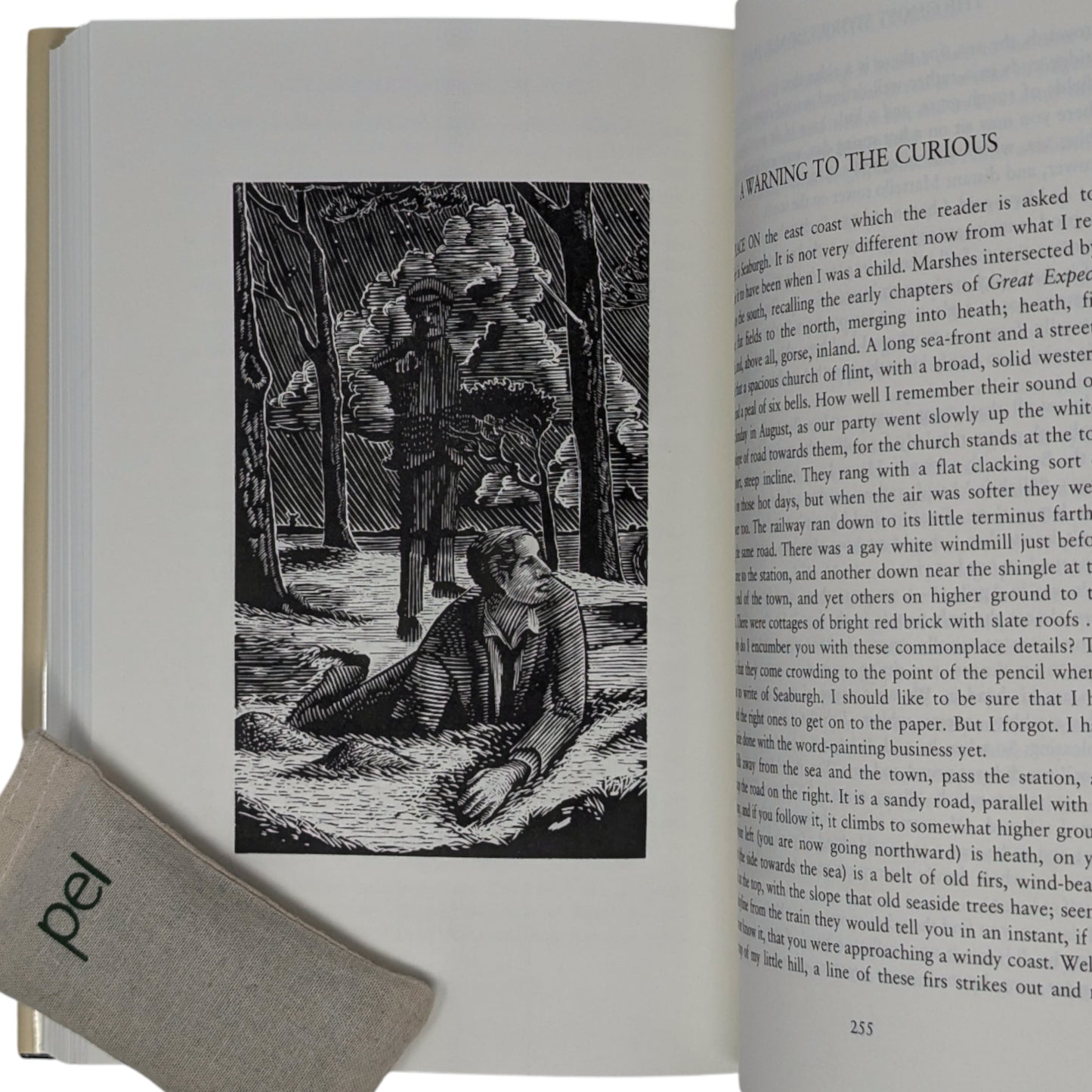 Ghost Stories of M. R. James