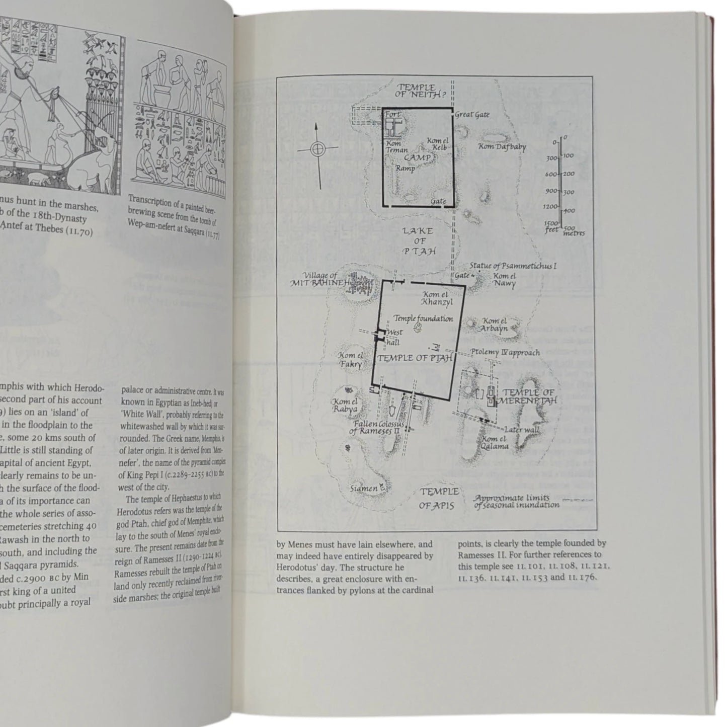 Herodotus: The Histories