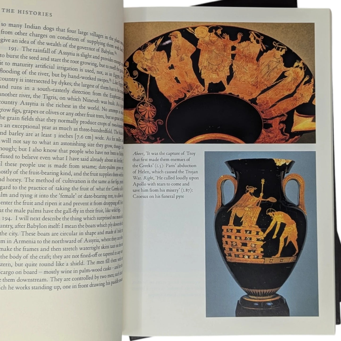 Herodotus: The Histories