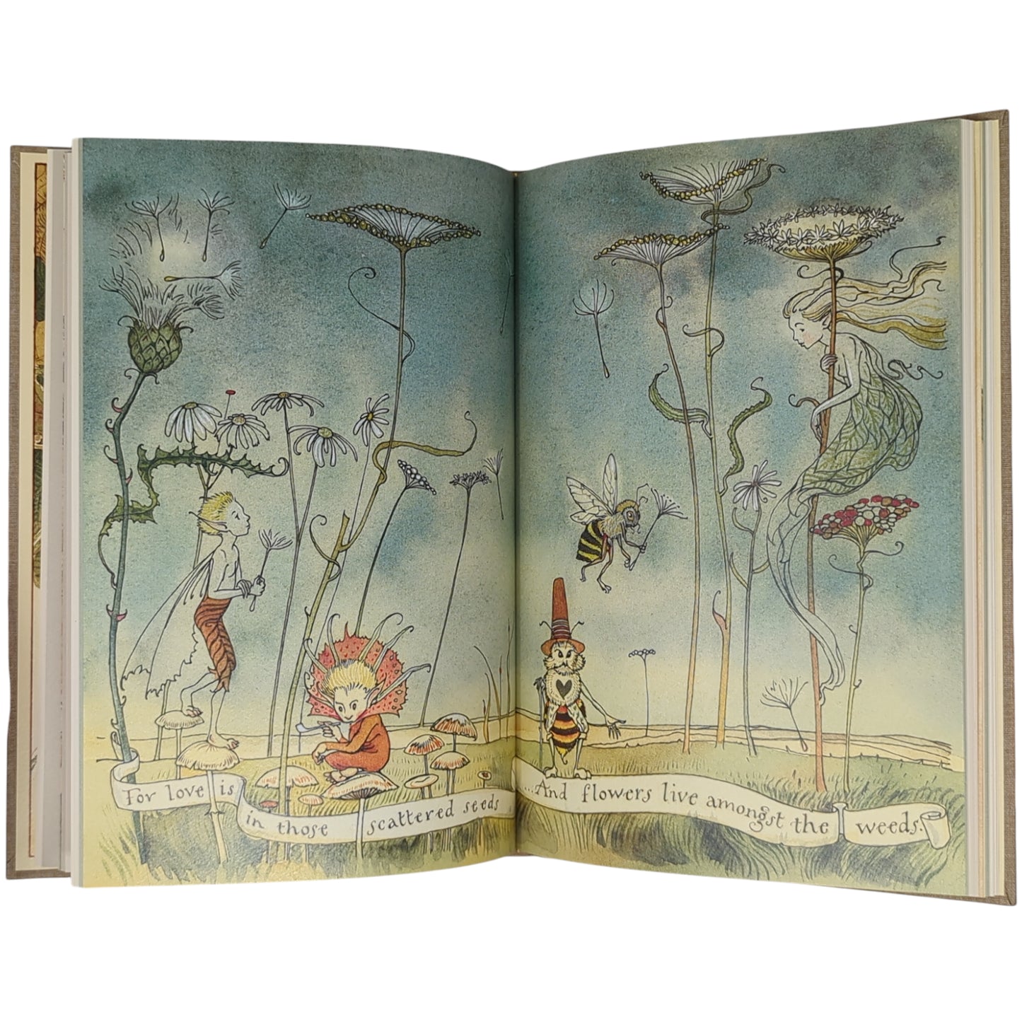 How to See Fairies and Other Tales