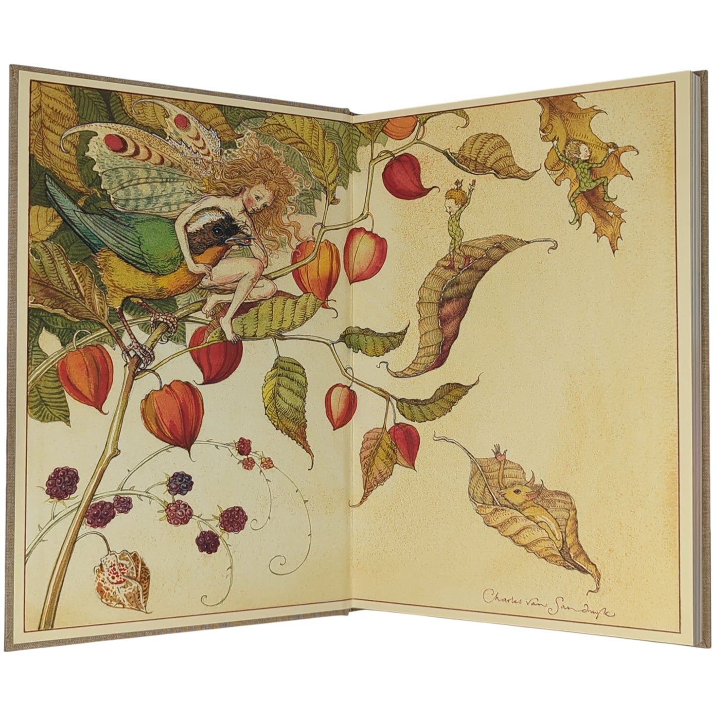 How to See Fairies and Other Tales