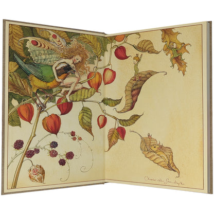 How to See Fairies and Other Tales