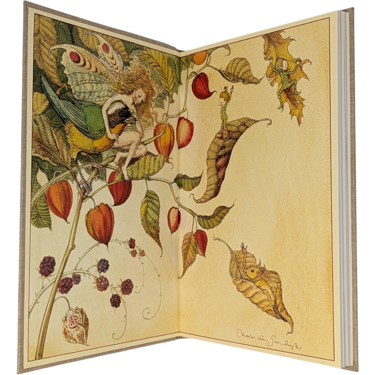 How to See Fairies and Other Tales