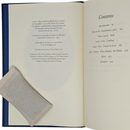 In Search of Lost Time