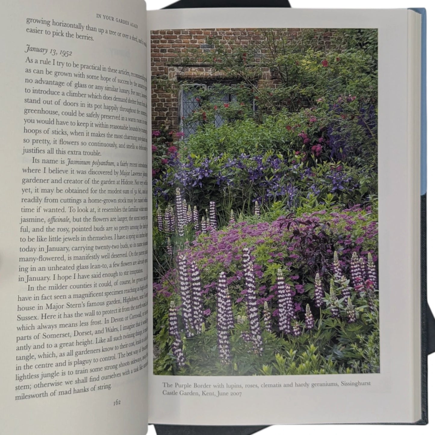 In Your Garden and In Your Garden Again