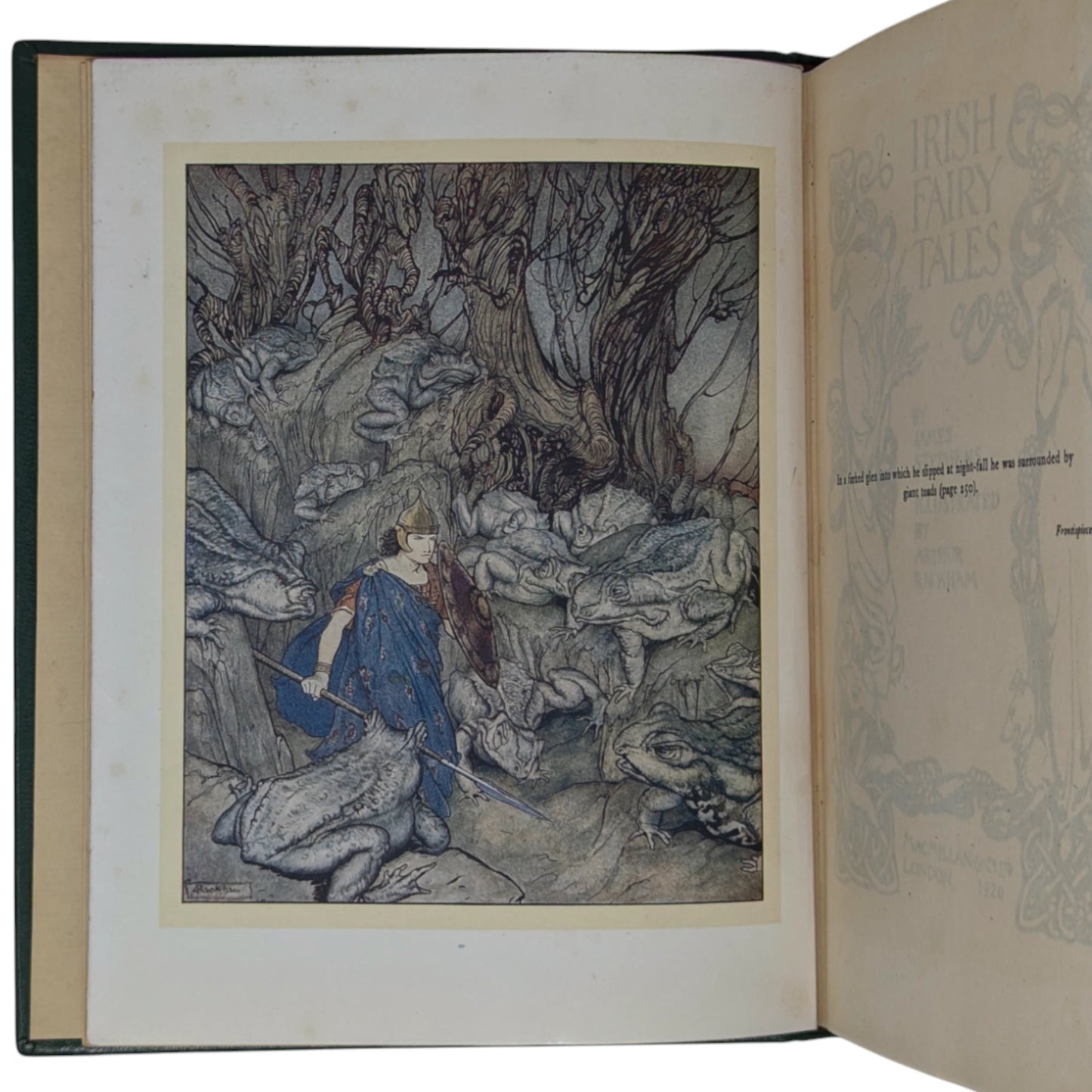Irish Fairy Tales