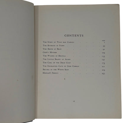 Irish Fairy Tales