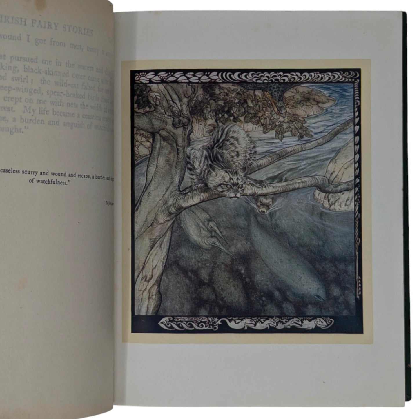 Irish Fairy Tales