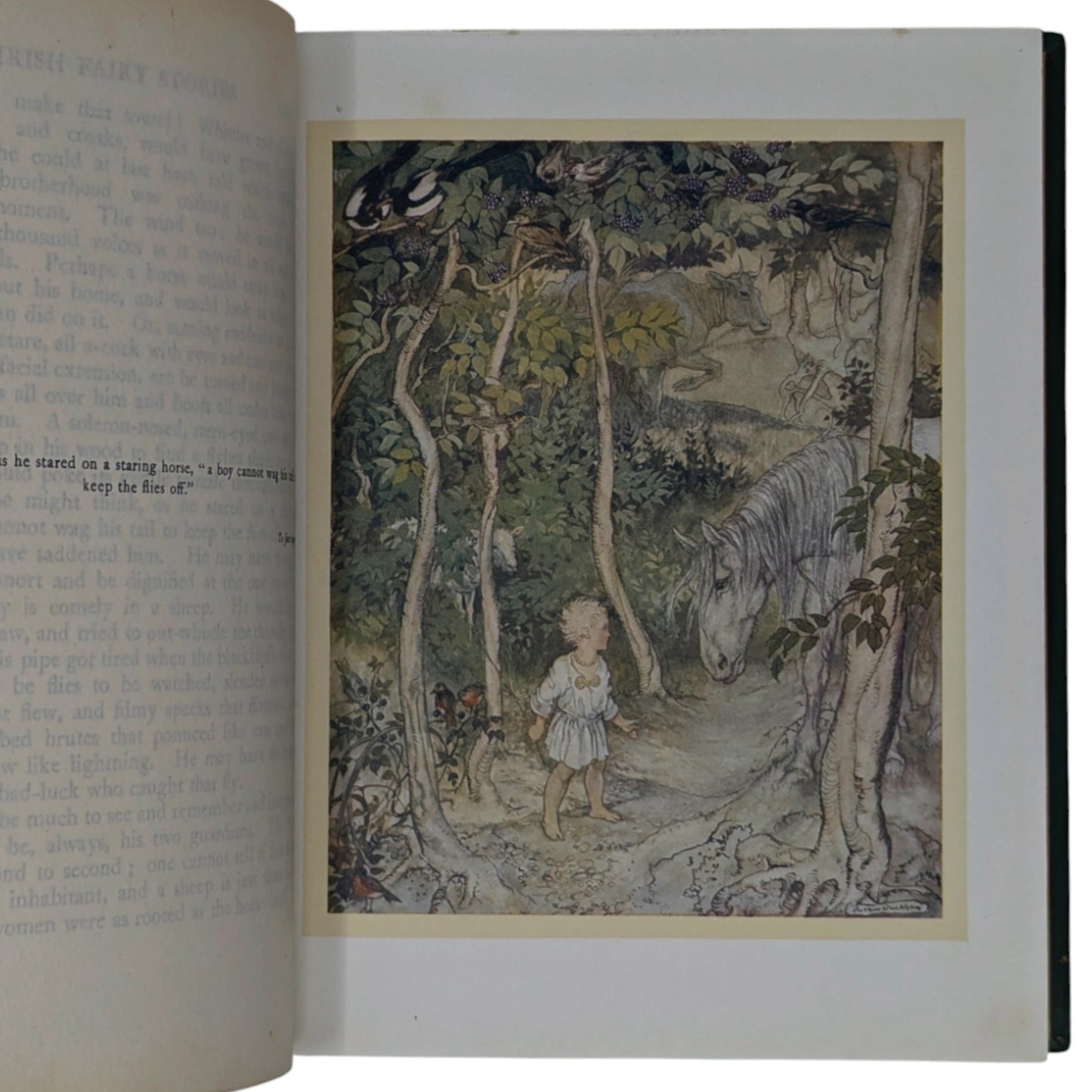 Irish Fairy Tales